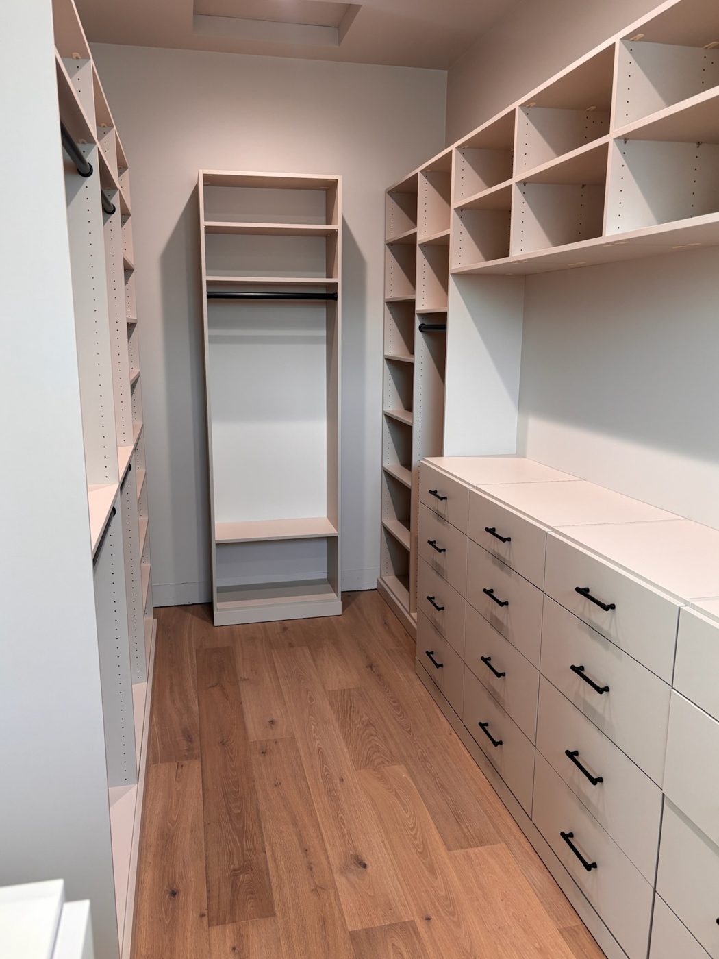 White walk-in closet with wood floor
